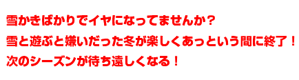 嫌いだった冬が楽しくあっという間に終わってしまいます！